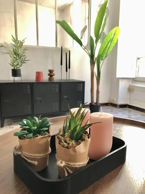 Appartement Ღ Le Cypriano • T2 Au Centre De Valence Avec Parking